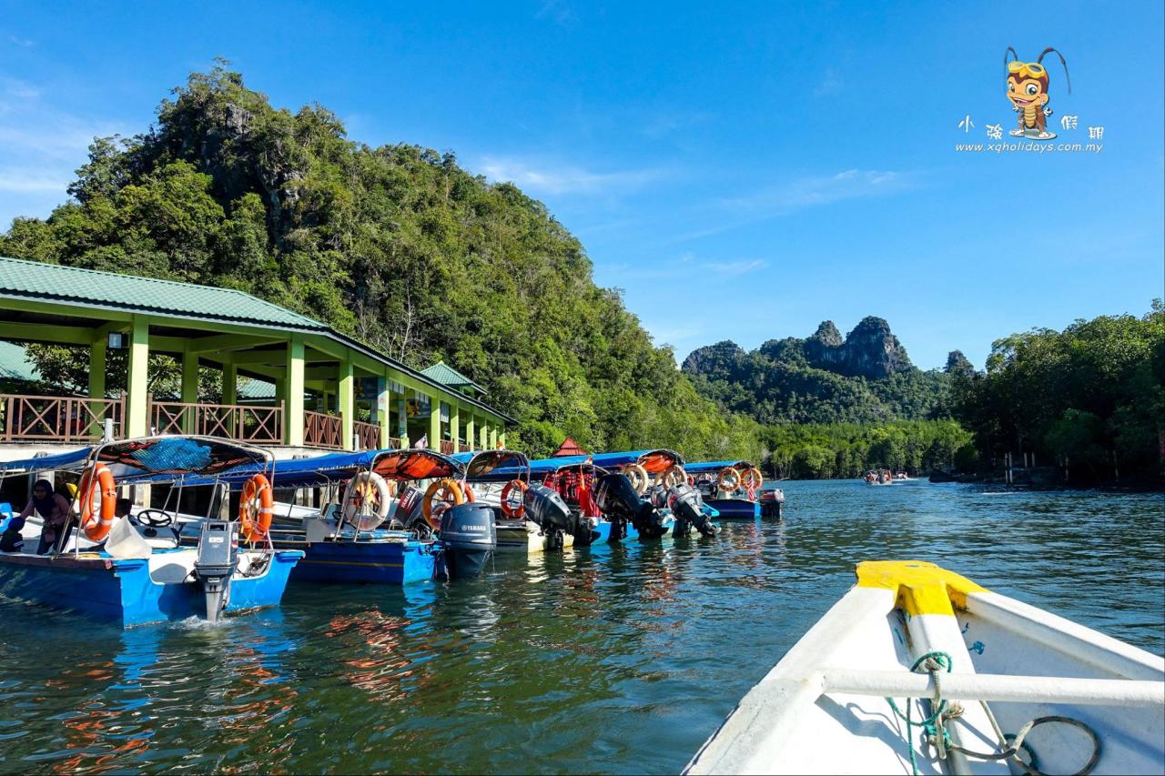 Jelajahi Mangrove Langkawi: Petualangan Ekologi dan Konservasi